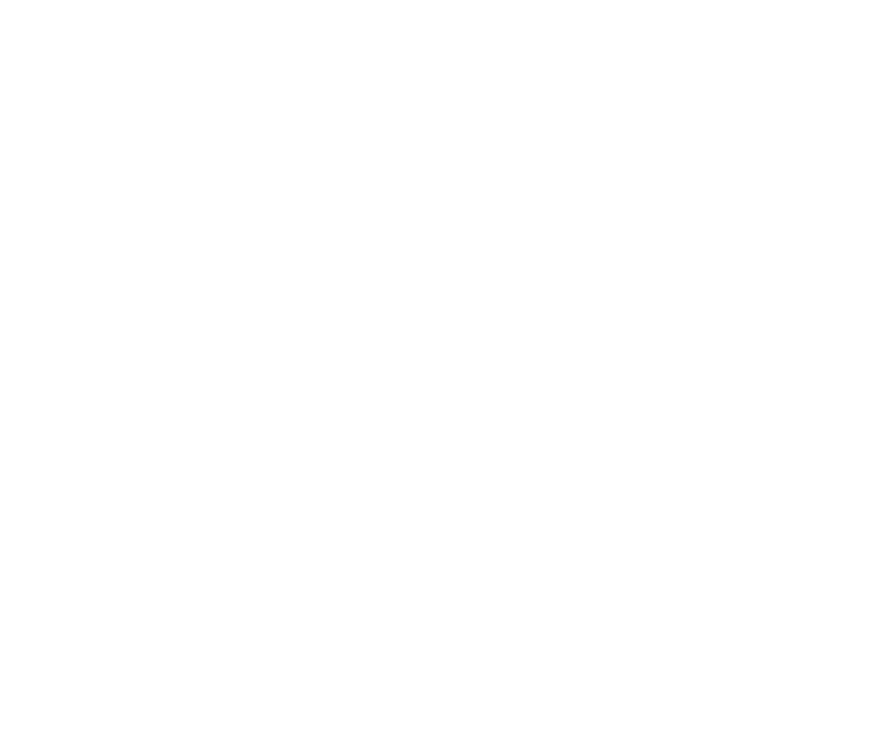 Blue camas flower illustration