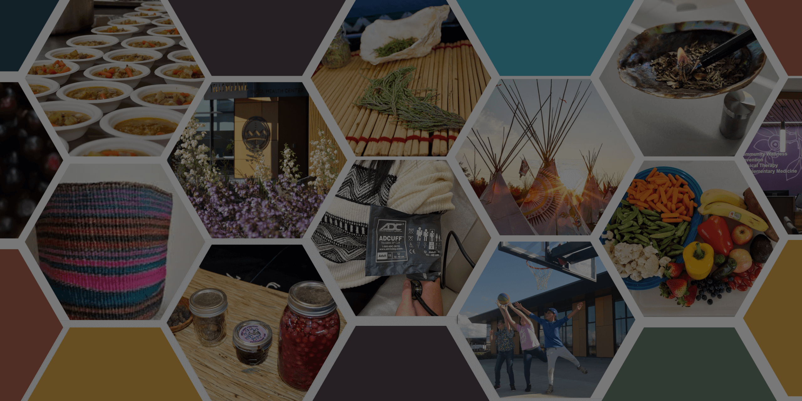 Tribal Community Health Assessment